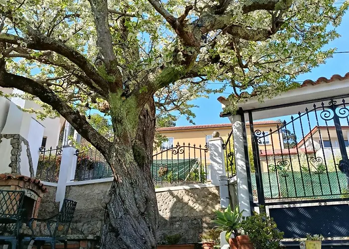 Pombal Apartamento *